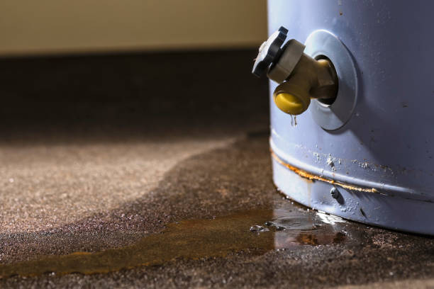 Best Local water damage restoration  in Northbrook, OH