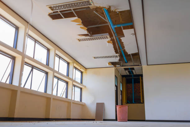Best Mold removal after water damage  in Northbrook, OH