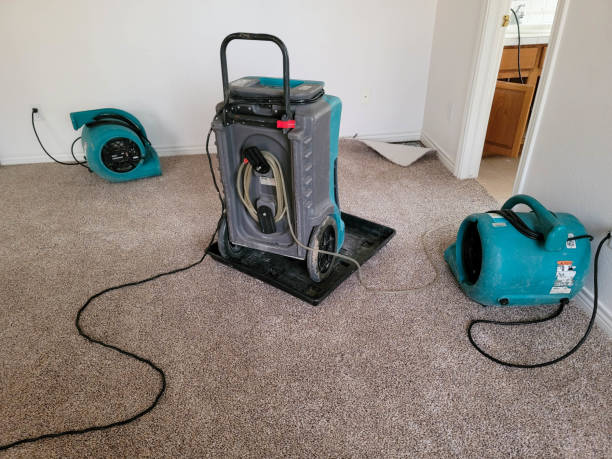 Professional Water damage restoration in Northbrook, OH