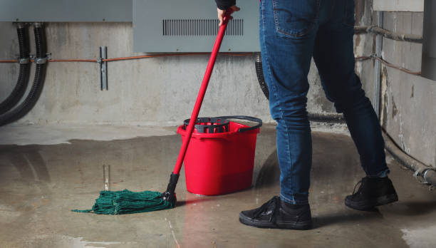 Best Sewage cleanup and water damage restoration  in Northbrook, OH