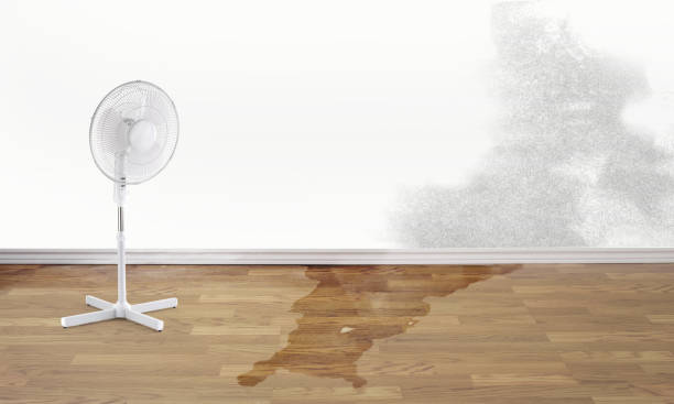 Best Flooded house restoration  in Northbrook, OH