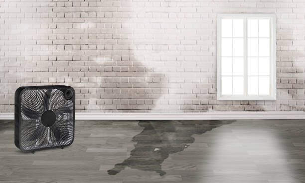 Best Fire Damage Restoration  in Northbrook, OH