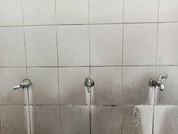 Best Professional water damage repair  in Northbrook, OH