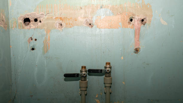 Best Commercial water damage restoration  in Northbrook, OH