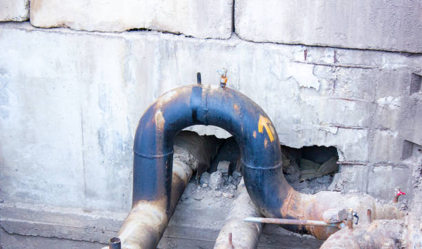 Best Professional water damage repair  in Northbrook, OH