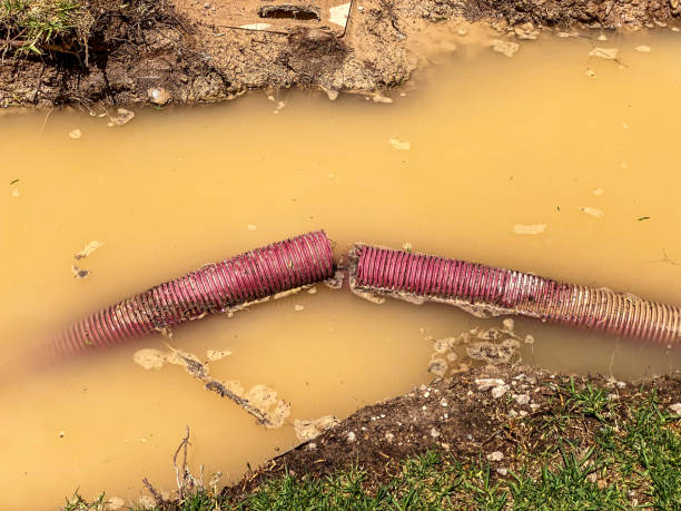 Best Basement water damage restoration  in Northbrook, OH