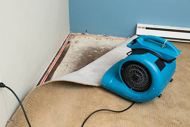 Best Emergency water damage restoration  in Northbrook, OH